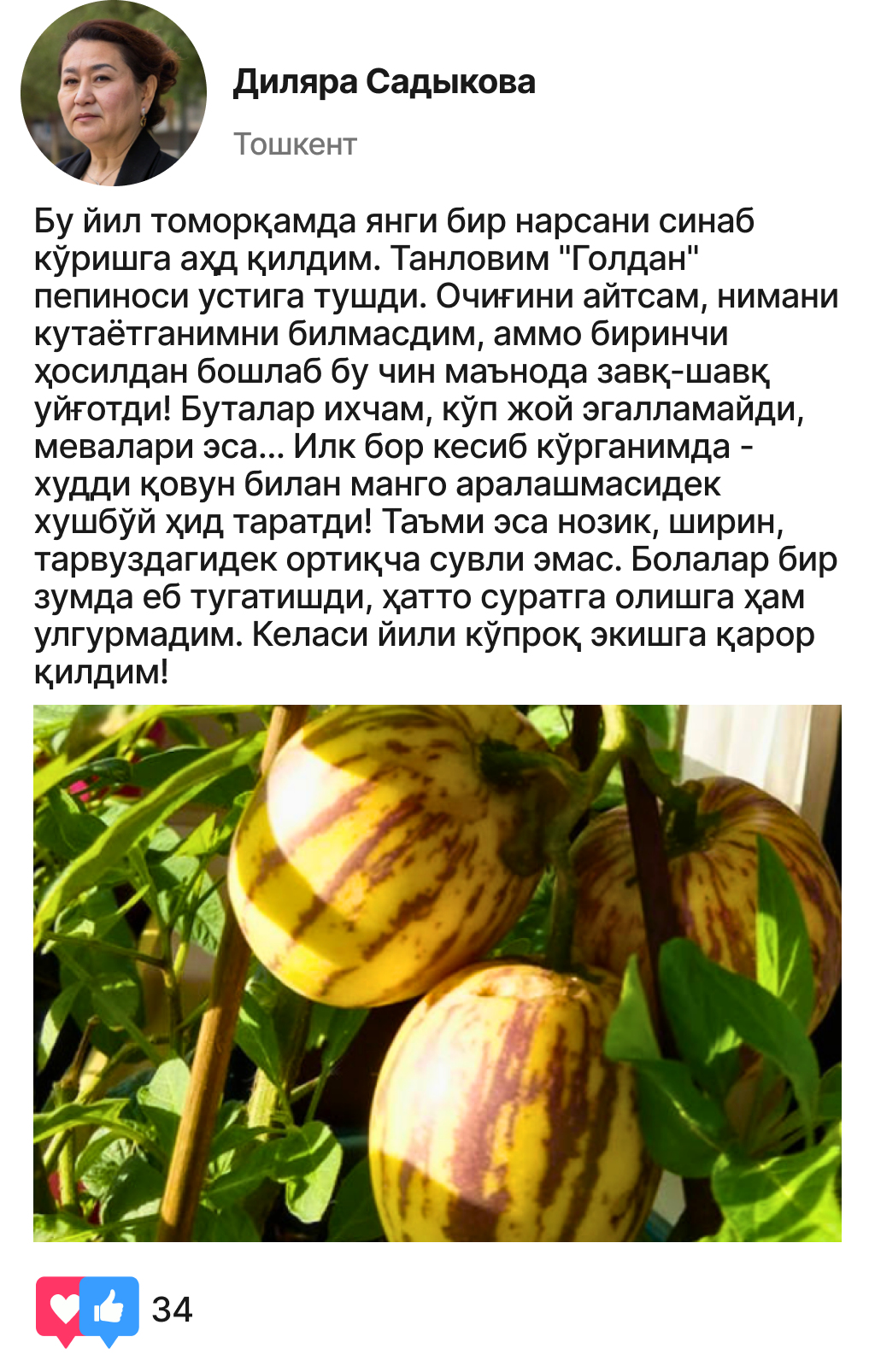 Заголовок