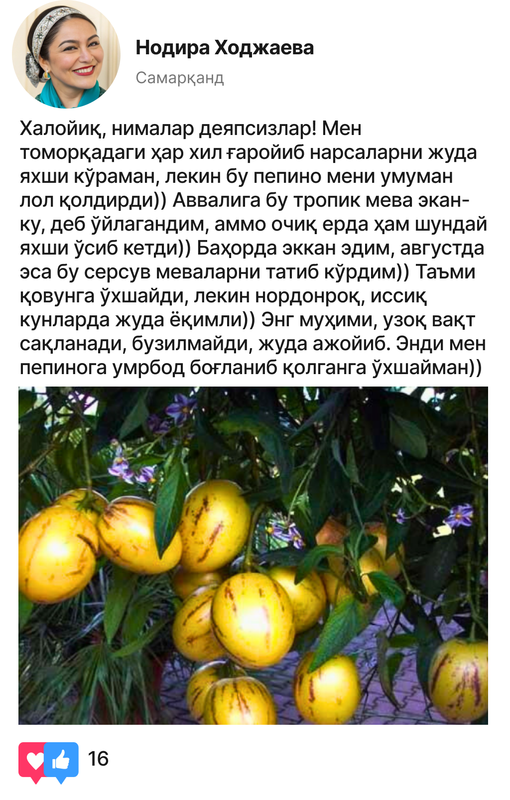 Заголовок