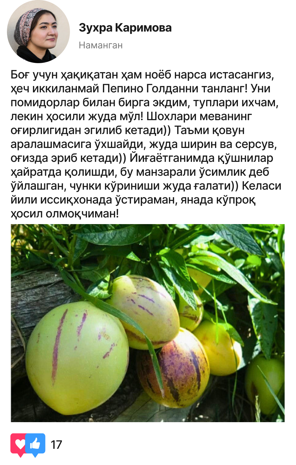 Заголовок