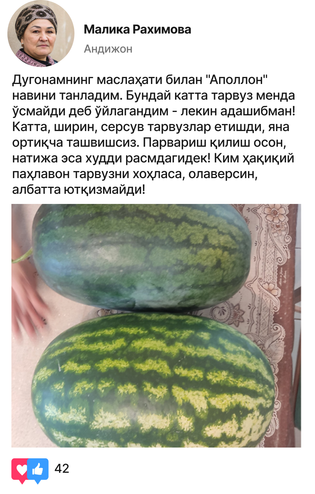 Заголовок