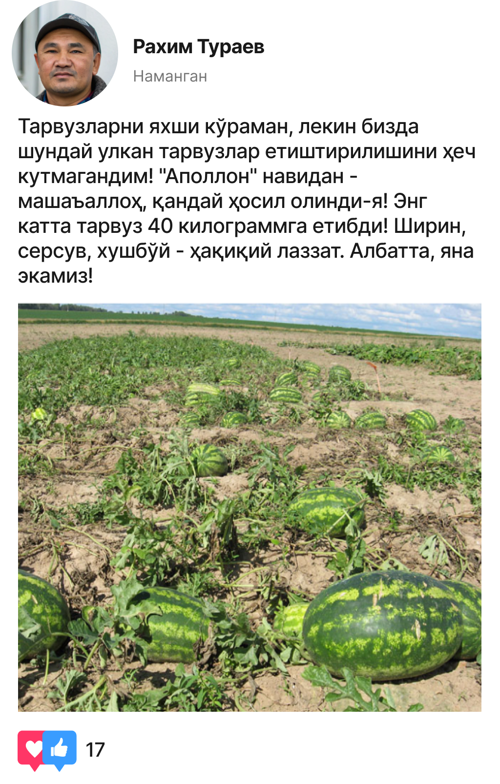 Заголовок