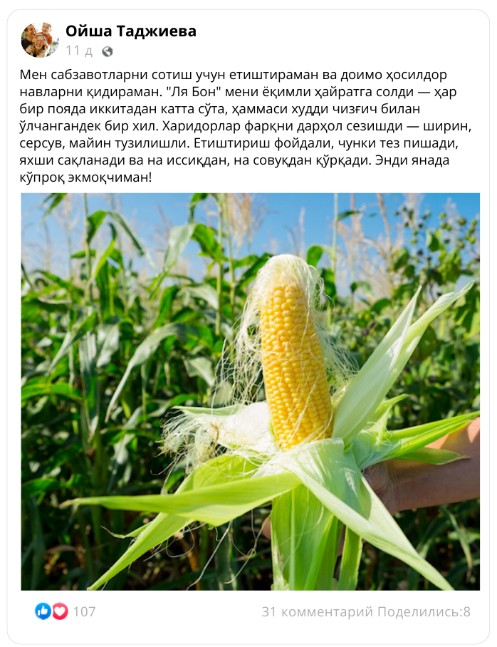 Заголовок