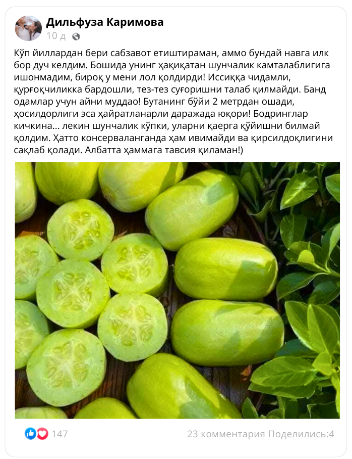 Заголовок